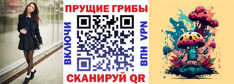 Купить где  Безенчук  Псилоцибиновые грибы Magic Shrooms 